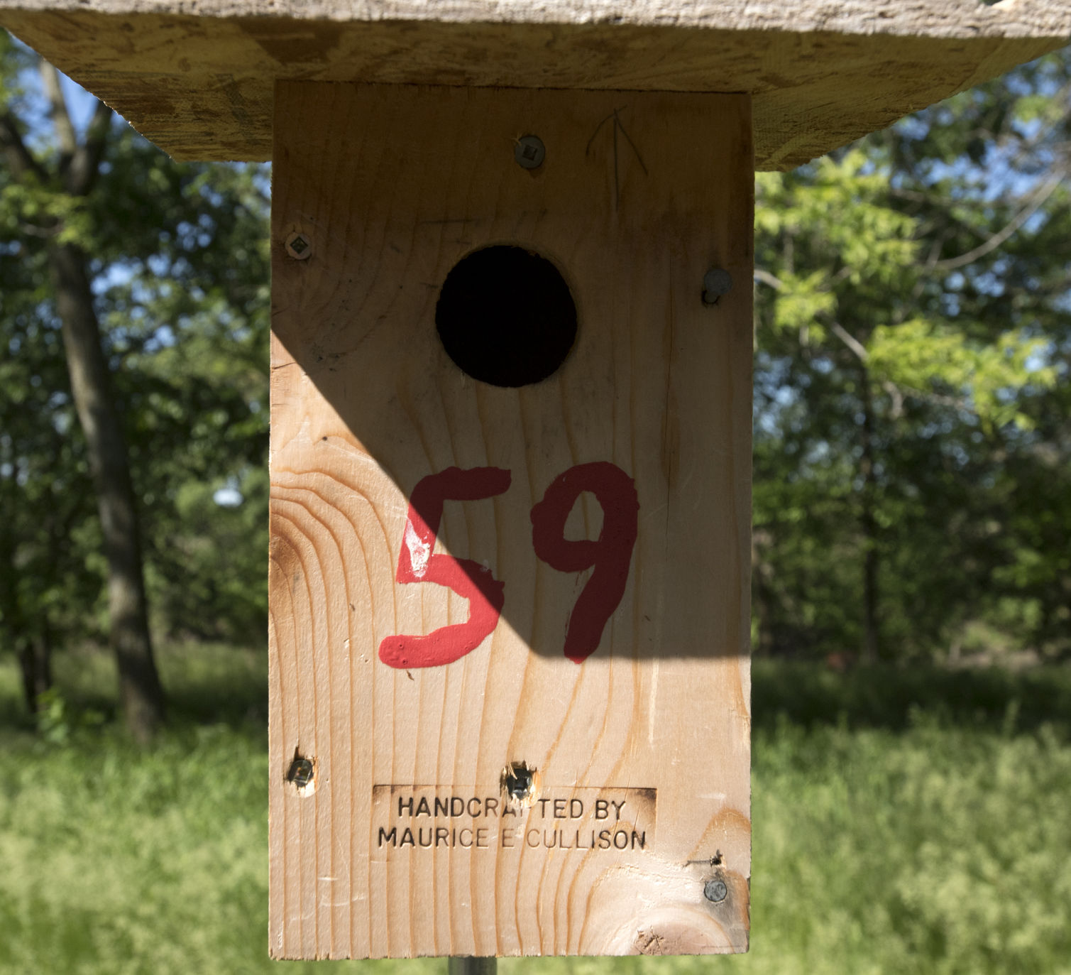 Bluebird trail